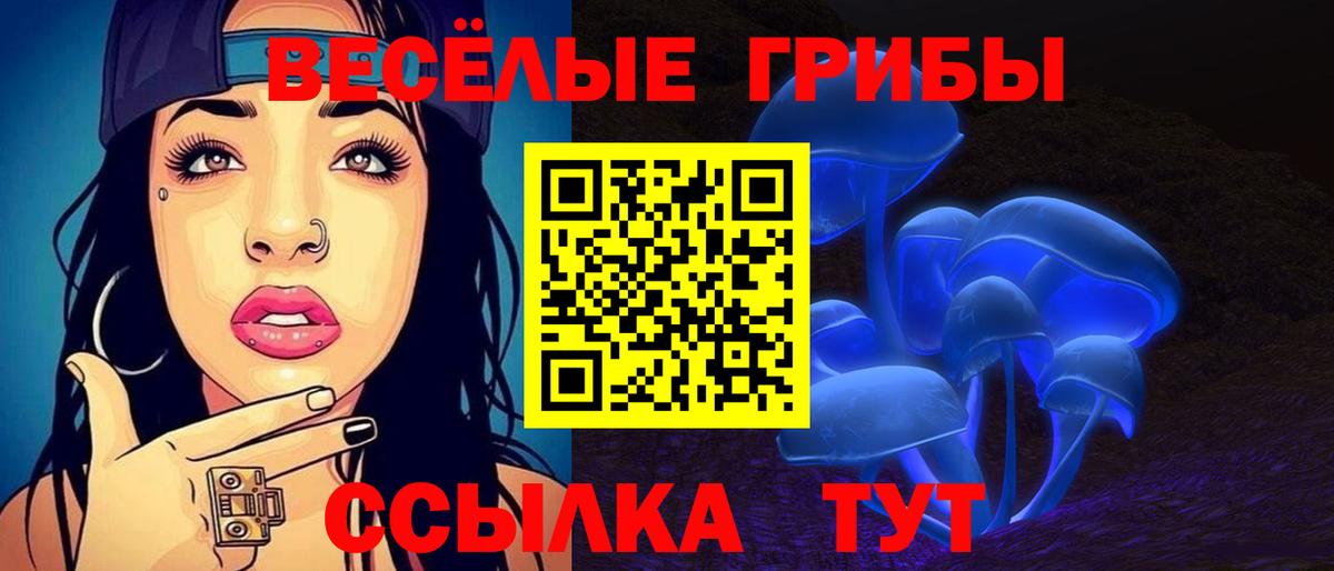 Галлюциногенные грибы Psilocybe Новомосковск